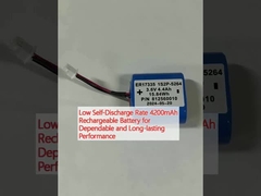 Batterie rechargeable de 4200 mAh à faible taux d'auto-décharge pour des performances fiables et durables