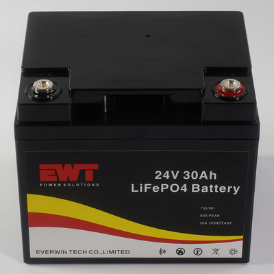 acheter Lithium fer phosphate 24V LiFePO4 batterie puissance supérieure pour tout climat et la température fabrication en ligne